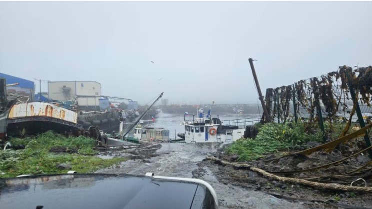 Alerta de tsunami en el Pacífico tras un sismo de 8,8 en Rusia: evacúan zonas de EE.UU., Chile, Perú y Ecuador imagen-21