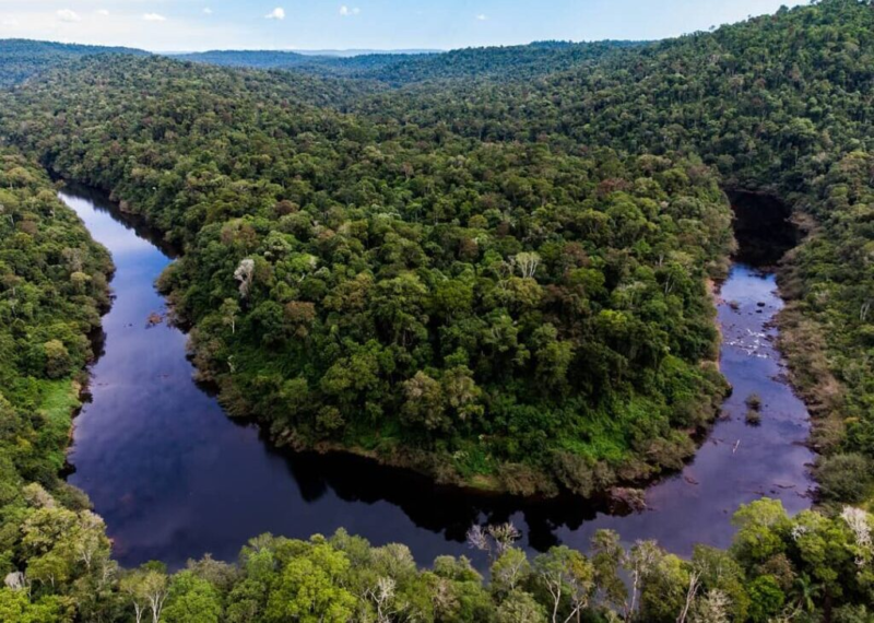Misiones iniciará en agosto jornadas informativas sobre el Programa Jurisdiccional de Créditos de Carbono imagen-17